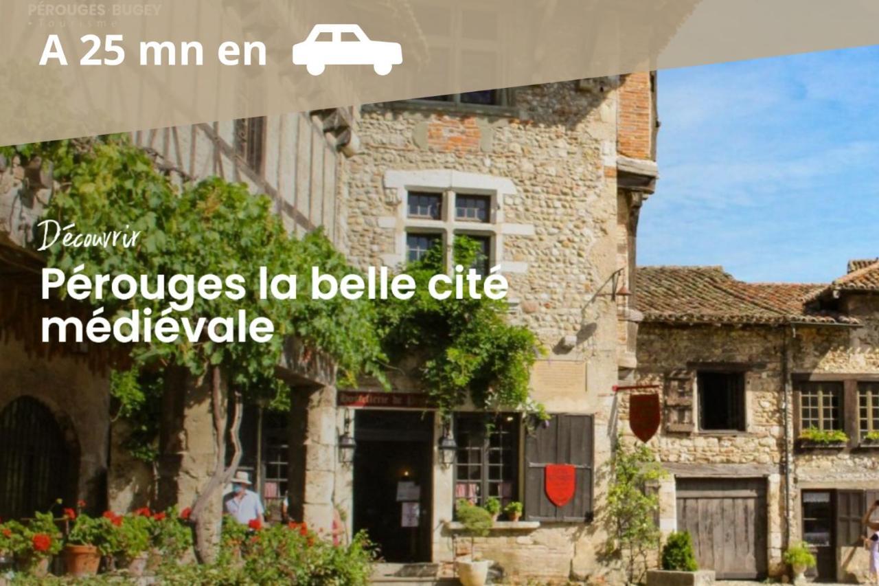 L'Emeraude - 1 A 4P - Wifi Fibre - Parking Gratuit Pont-dʼAin Kültér fotó