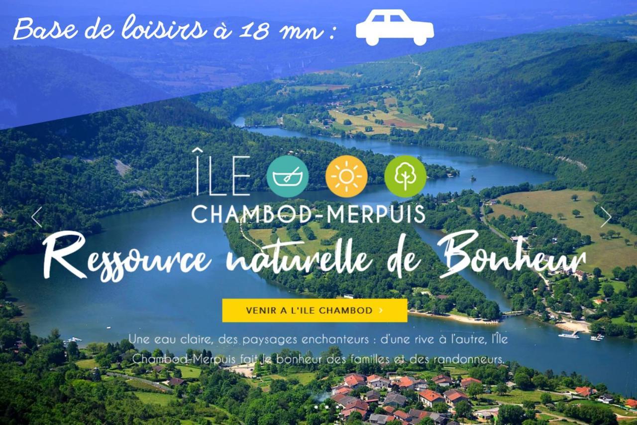 L'Emeraude - 1 A 4P - Wifi Fibre - Parking Gratuit Pont-dʼAin Kültér fotó