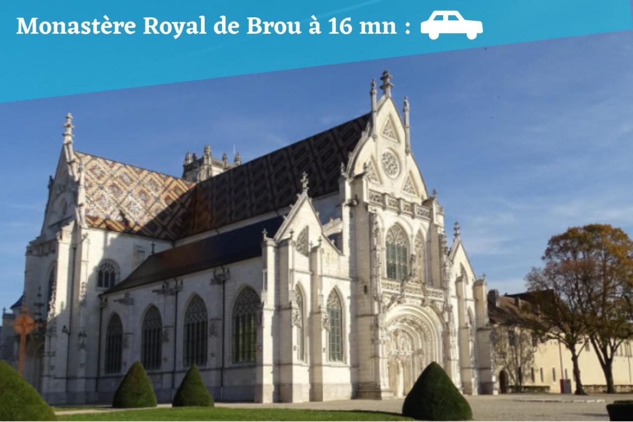 L'Emeraude - 1 A 4P - Wifi Fibre - Parking Gratuit Pont-dʼAin Kültér fotó
