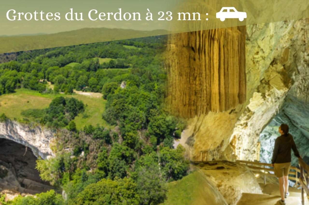 L'Emeraude - 1 A 4P - Wifi Fibre - Parking Gratuit Pont-dʼAin Kültér fotó