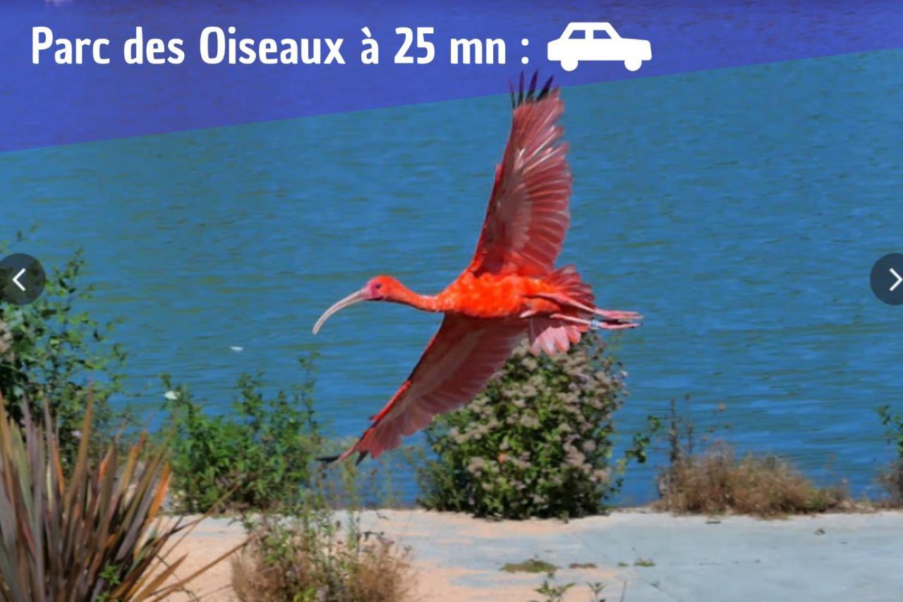 L'Emeraude - 1 A 4P - Wifi Fibre - Parking Gratuit Pont-dʼAin Kültér fotó